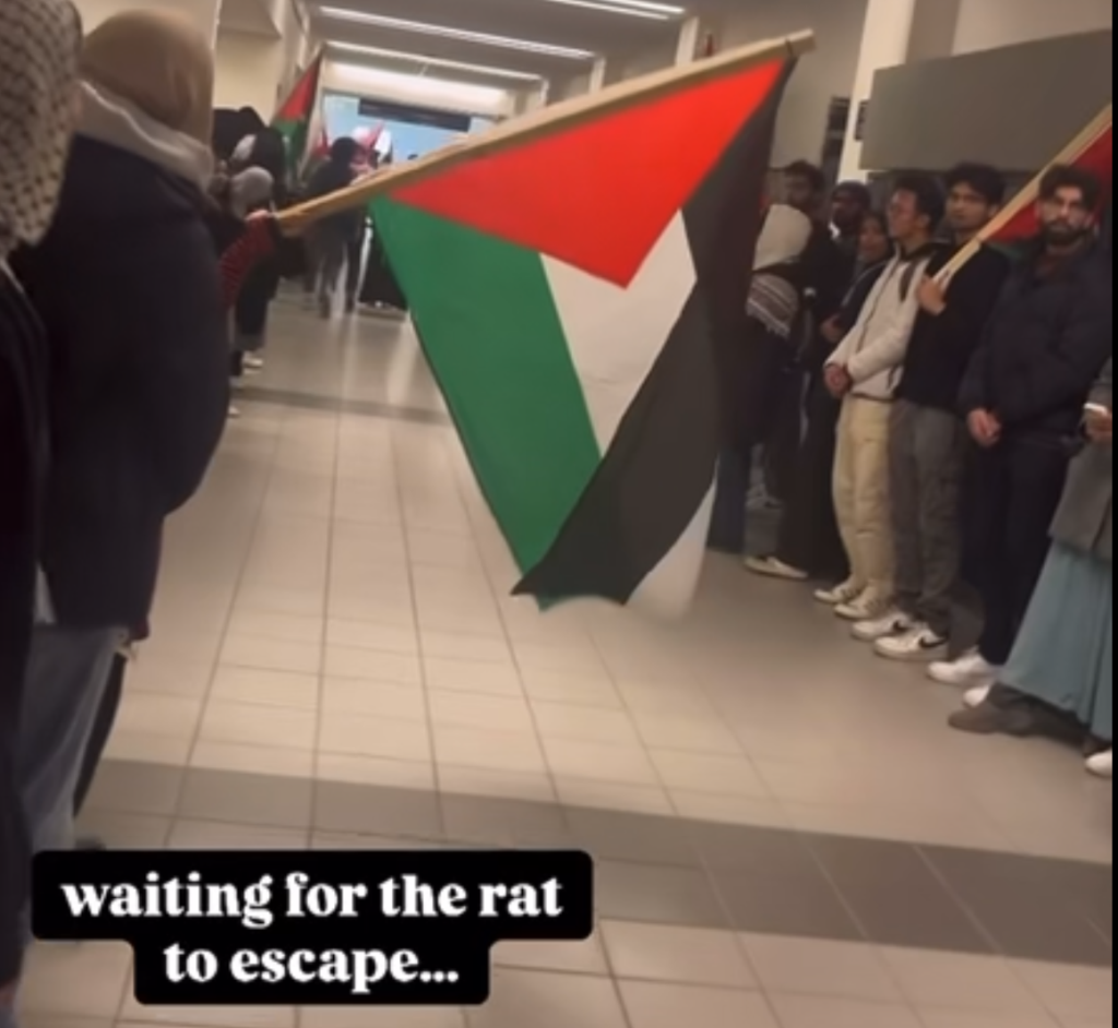 Group of students lined up in a hallway, holding a large Palestinian flag; caption reads 'waiting for the rat to escape...'